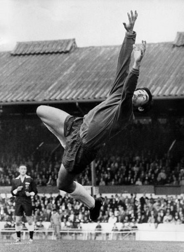 2-Gordon Banks Stoke City 1969.jpg
